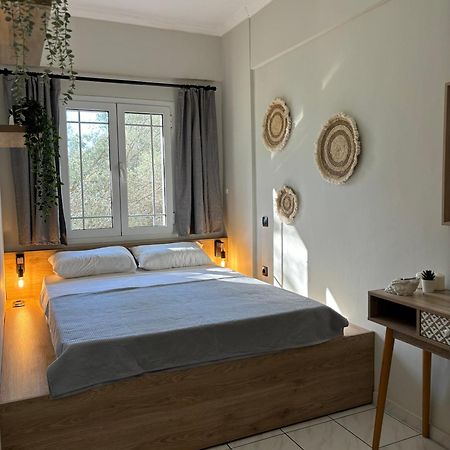 Olive Tree Apartments Lefkada City Екстер'єр фото