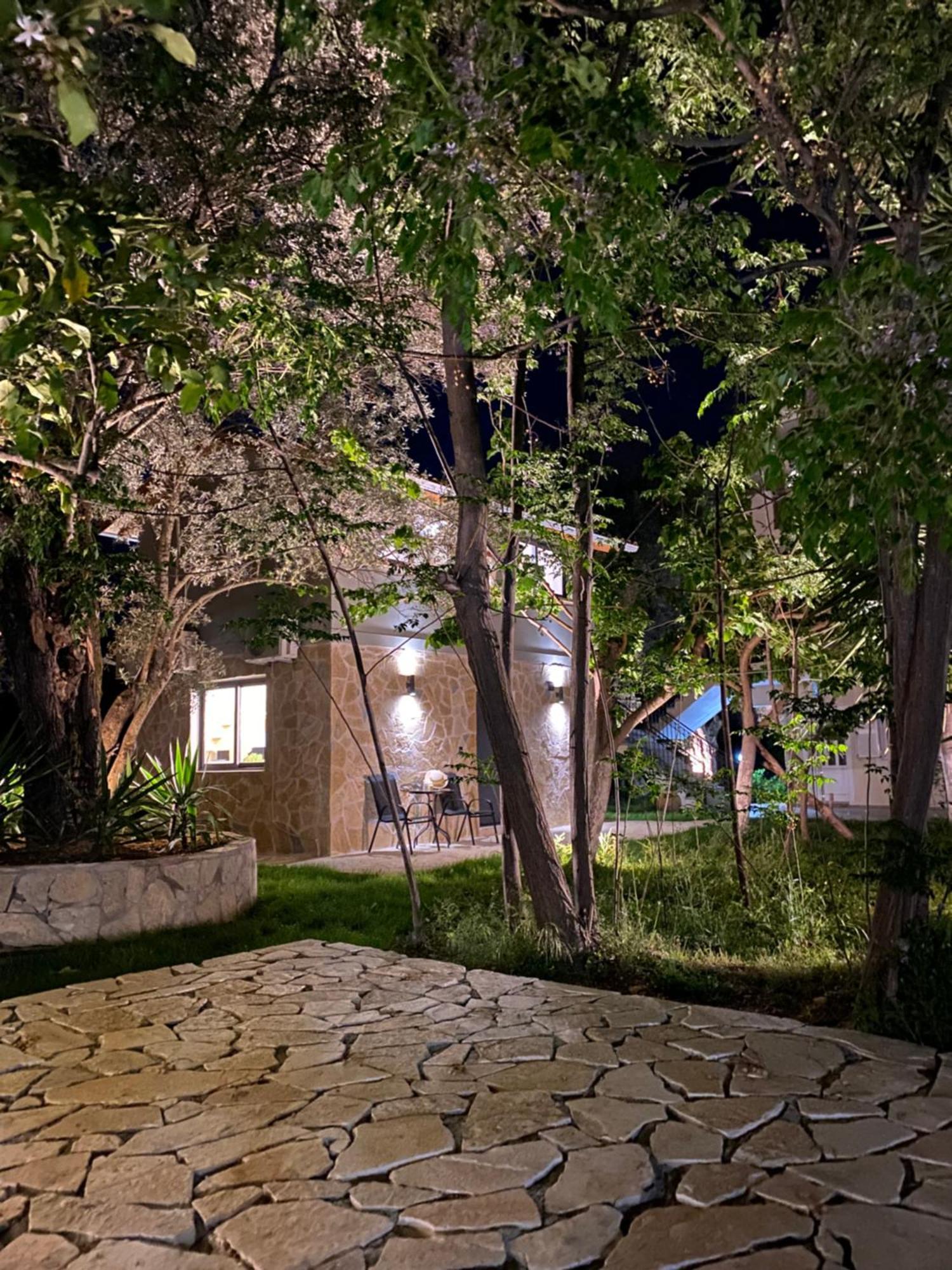 Olive Tree Apartments Lefkada City Номер фото